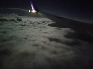 中秋のライトアップ
