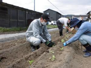 活動写真