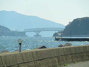 大島大橋(晝田優介)