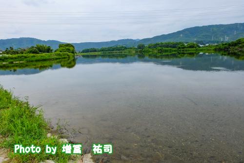 井堰の写真