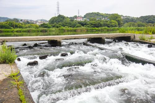 井堰の中の急流