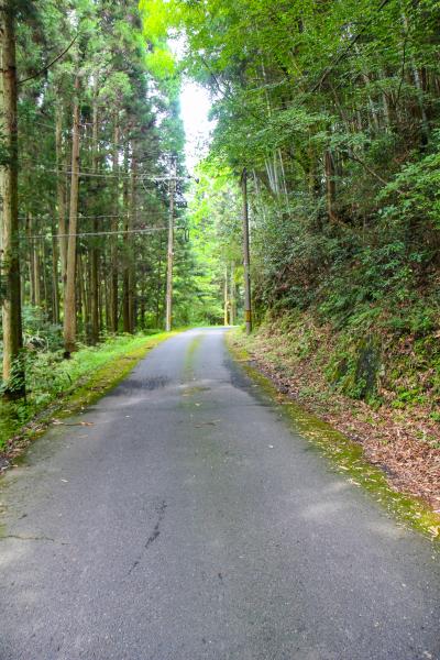 ろくろしの道路の写真