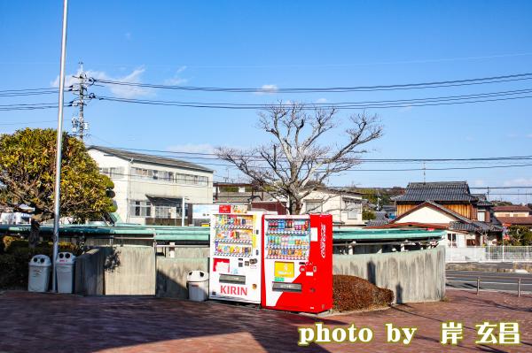 図書館外の自動販売機の写真