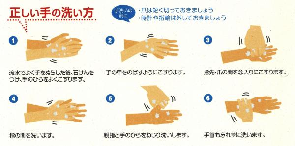 正しい手の洗い方