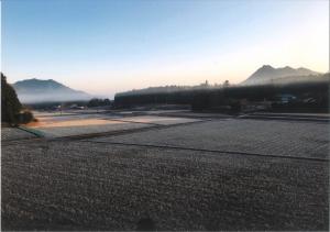 快晴の兆し～降霜と朝霧の中で