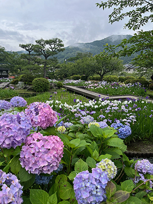 癒しの岩国
