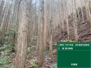 森林環境改善事業作業前