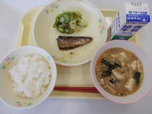 11月24日
