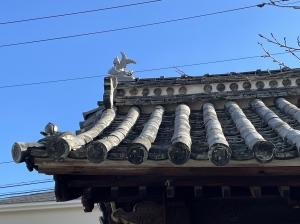 称光寺屋根