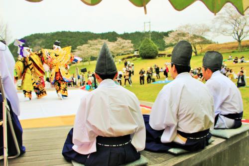 桜祭り写真