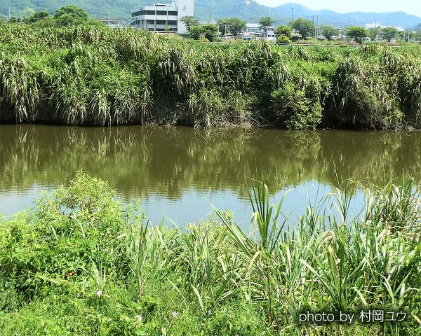 ため池1