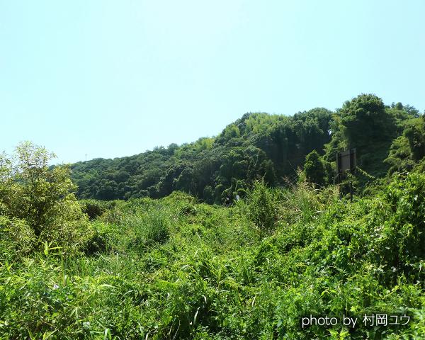 ため池4