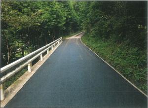 集落間林道②