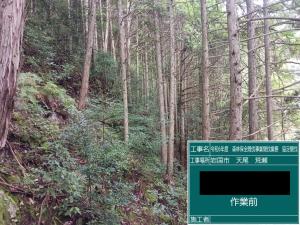 保全間伐①