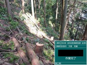 保全間伐②