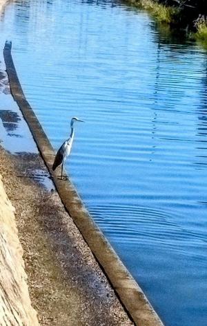 天地川秋の潮