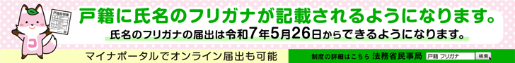 コセキツネ