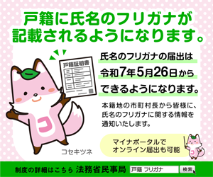 コセキツネ