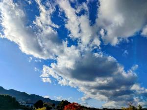 びょう秋の空