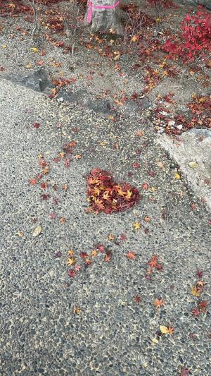 紅葉ハート