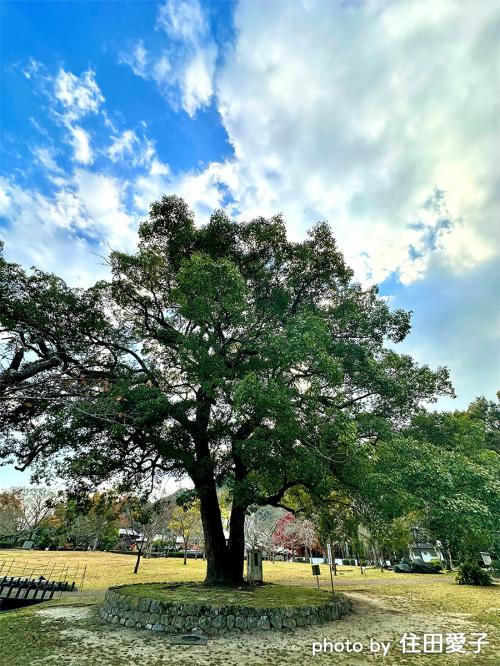 吉香公園