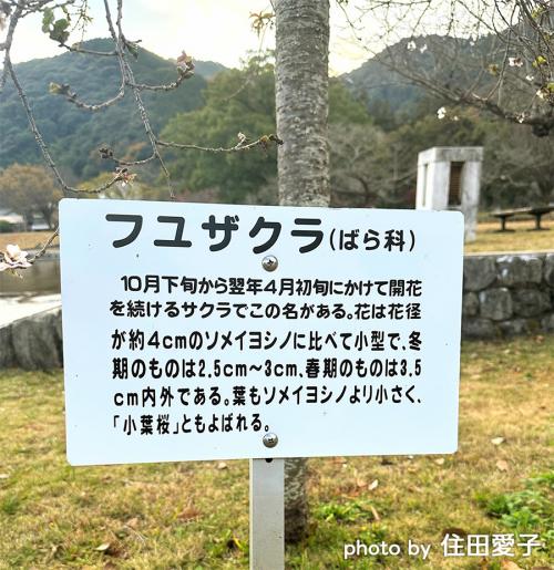 吉香公園