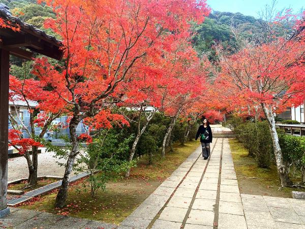 紅葉谷公園