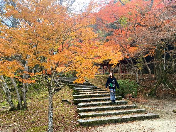 紅葉谷公園