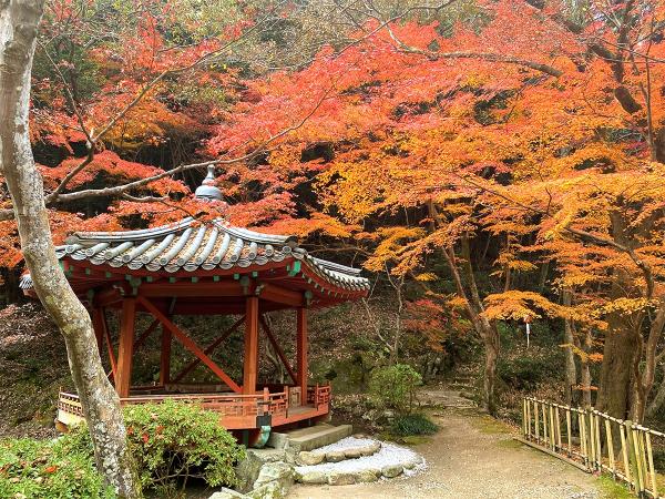 紅葉谷公園