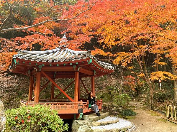 紅葉谷公園
