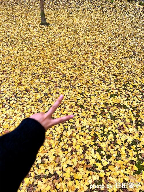 紅葉谷公園
