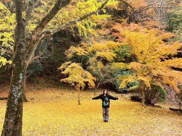 紅葉谷公園