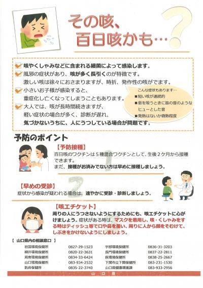 チラシ