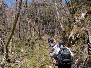 ブナ林登山中
