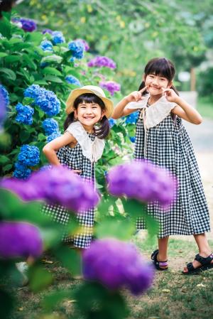 あじさいいっぱい！きれいだね
