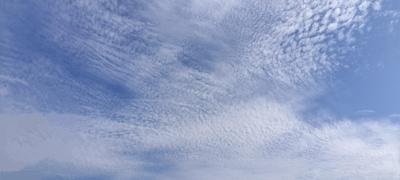 梅雨前のうろこ雲