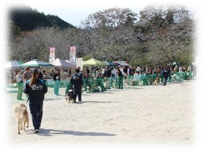 ドッグフェス