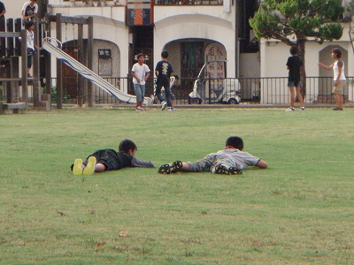 ハト公園
