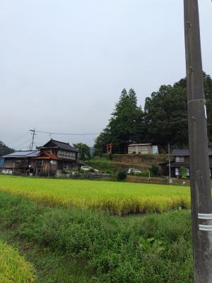 景観写真7