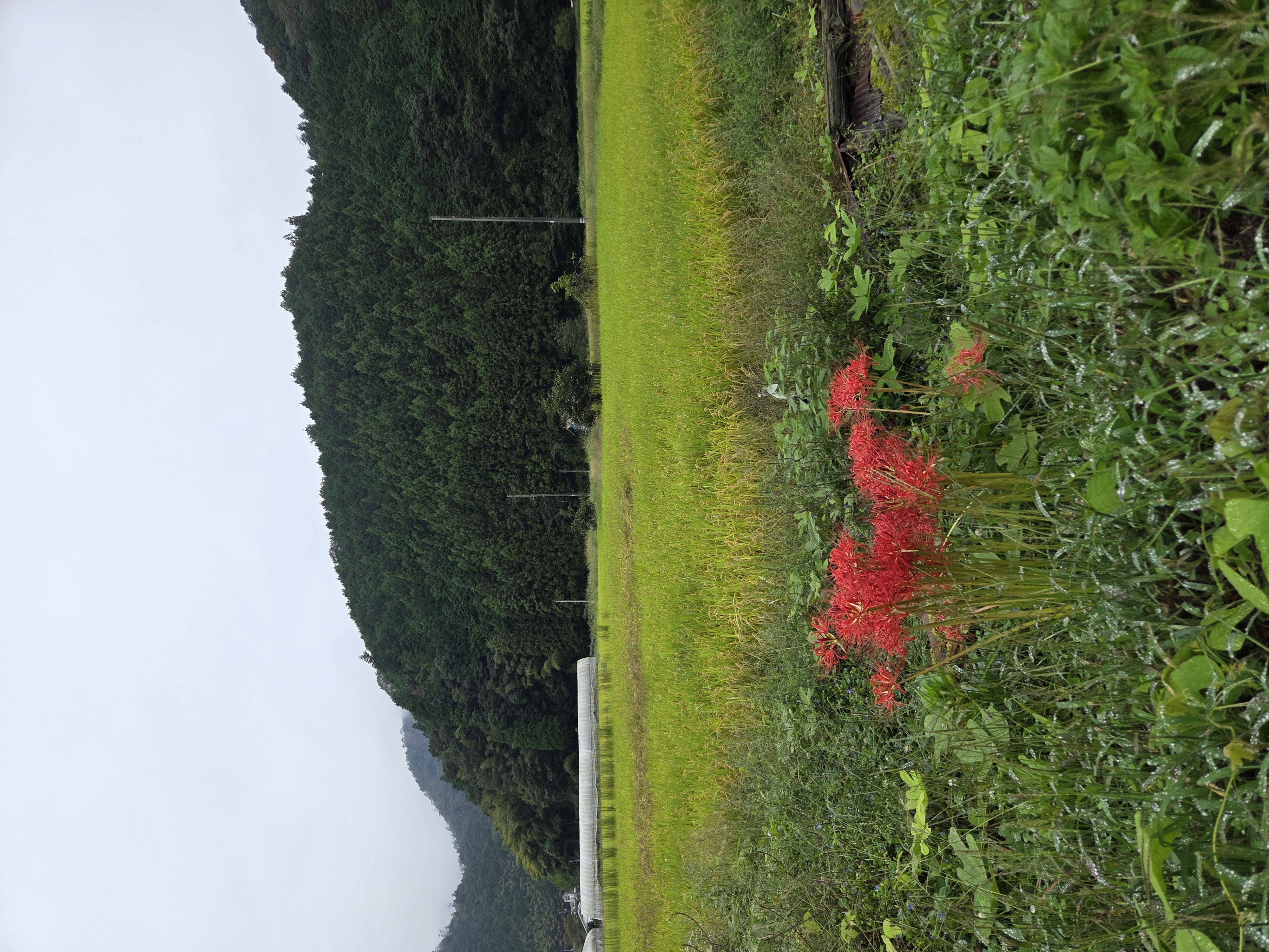 景観写真8