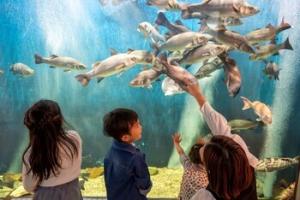 島根県立宍道湖自然館ゴビウス（出雲市）
