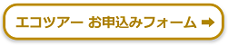 お申込みフォームボタン