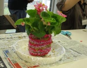 こけ玉（やまぐちフラワーランド）