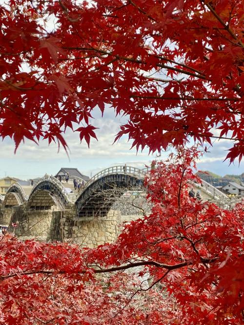 一般部門 入選 「赤い額縁に彩られて」