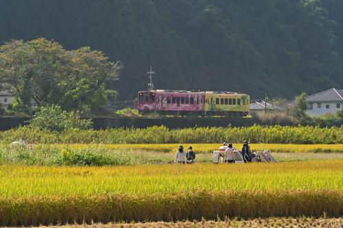 一般部門 入選 「実りの秋」