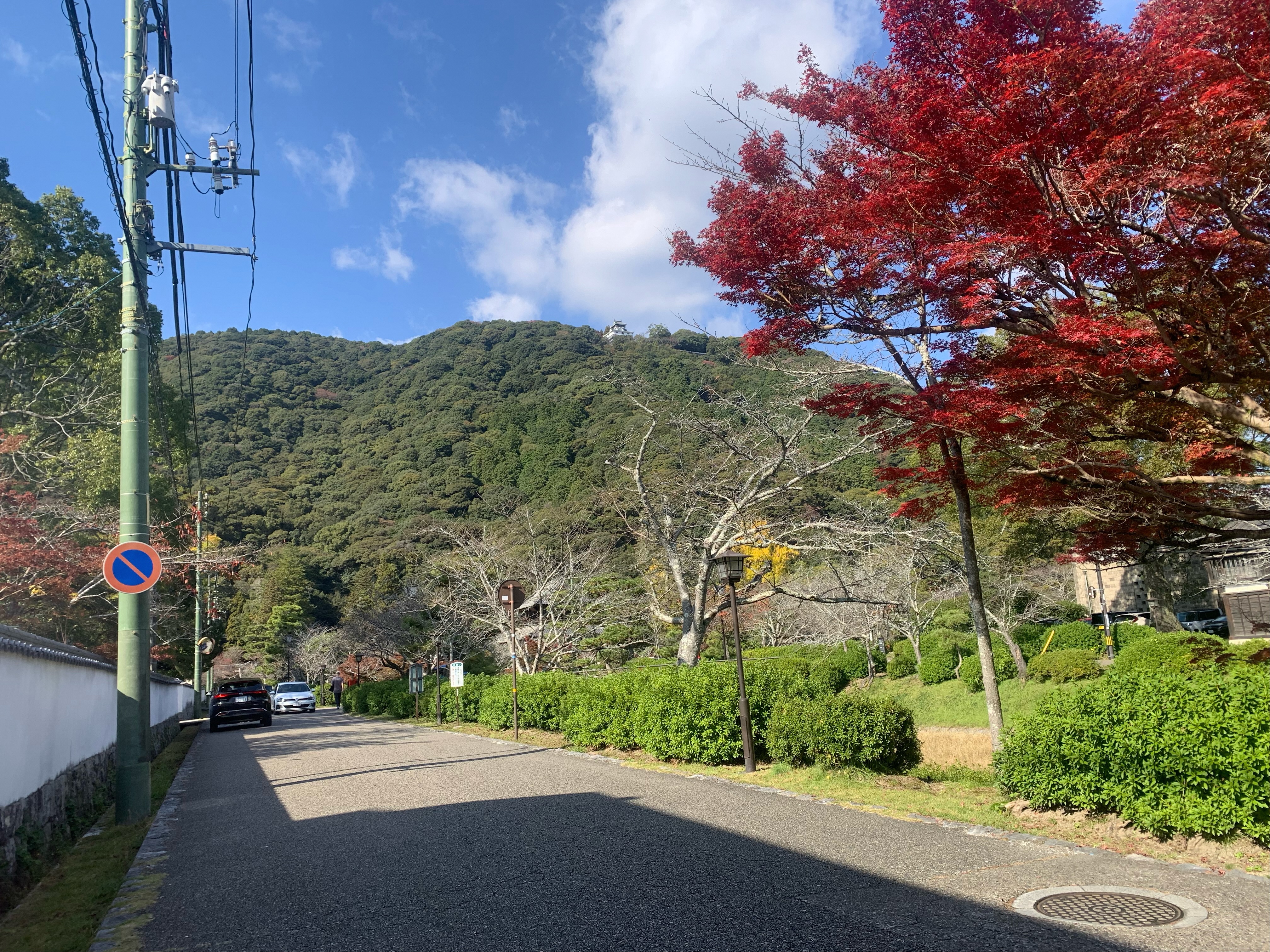 ジュニア部門 入選 「紅葉とお城」