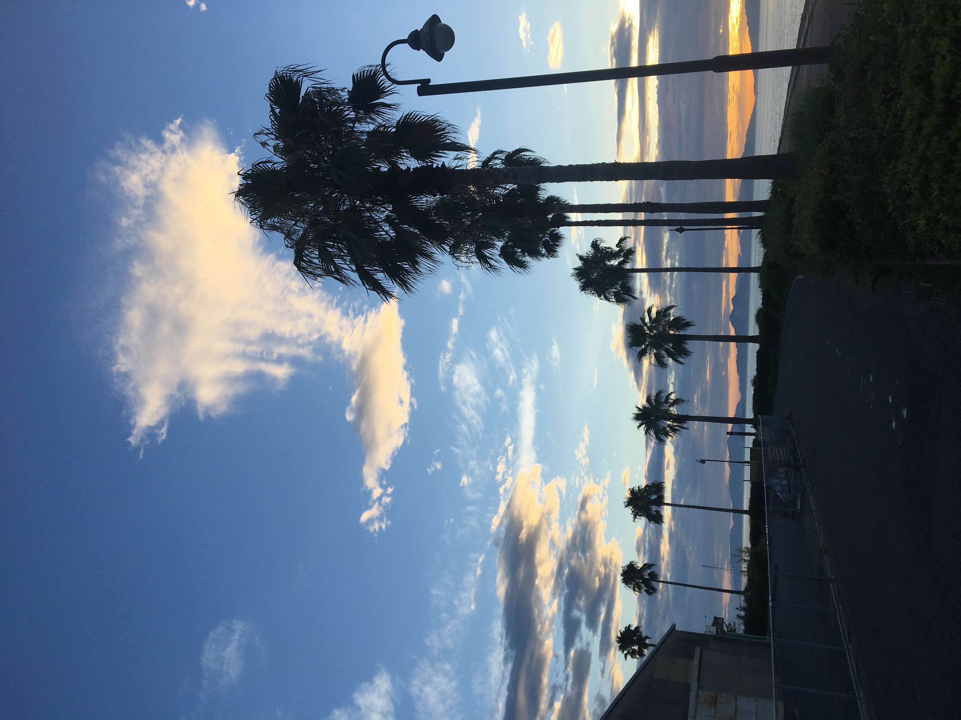 一般部門 入選 「夏の日の始まり」