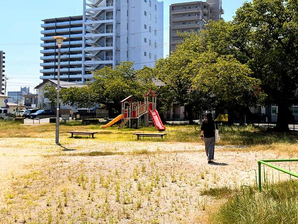 やま公園1