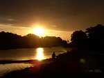 夏、早朝の井堰と楠の木公園の風景