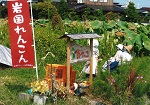 食べたきゃあ　来てみんさい